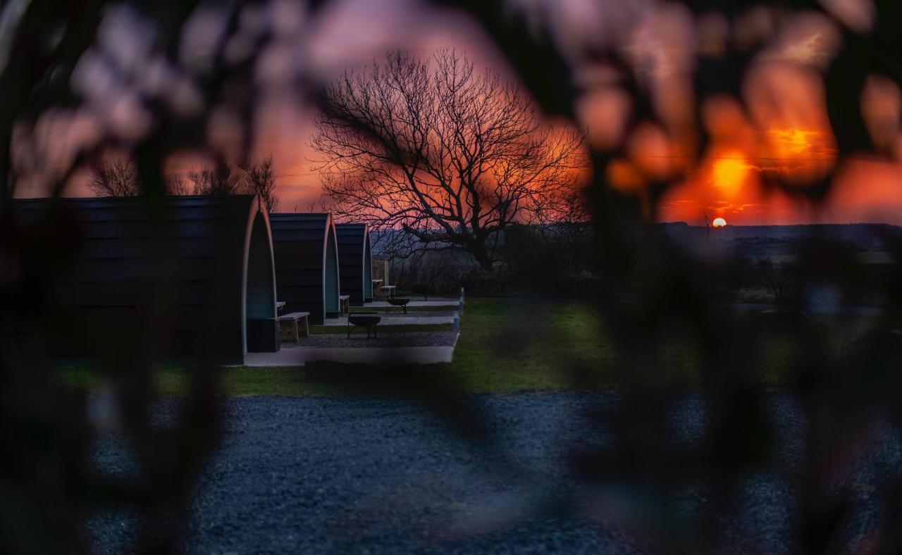 Causeway Country Pods Bushmills Exterior foto